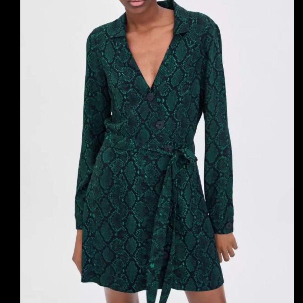Zara Snake Print Button Up Mini Dress with Tie